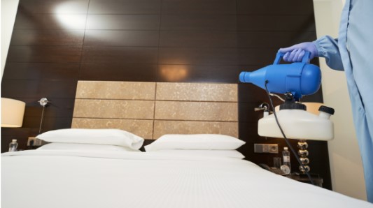 How Pest Control Singapore Helps Maintain Long-Term Hygiene Standards How Pest Control Singapore Helps Maintain Long-Term Hygiene Standards